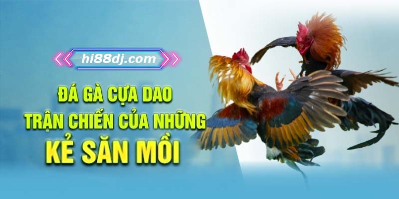 Đá Gà Cựa Dao - Trận Chiến Của Những Kẻ Săn Mồi Tại Hi88